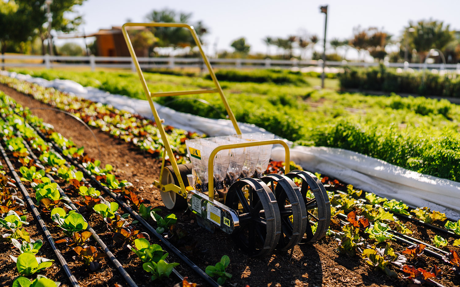 Branded Content Photography Video - Scottsdale SEO & Web Design | Bemo Design