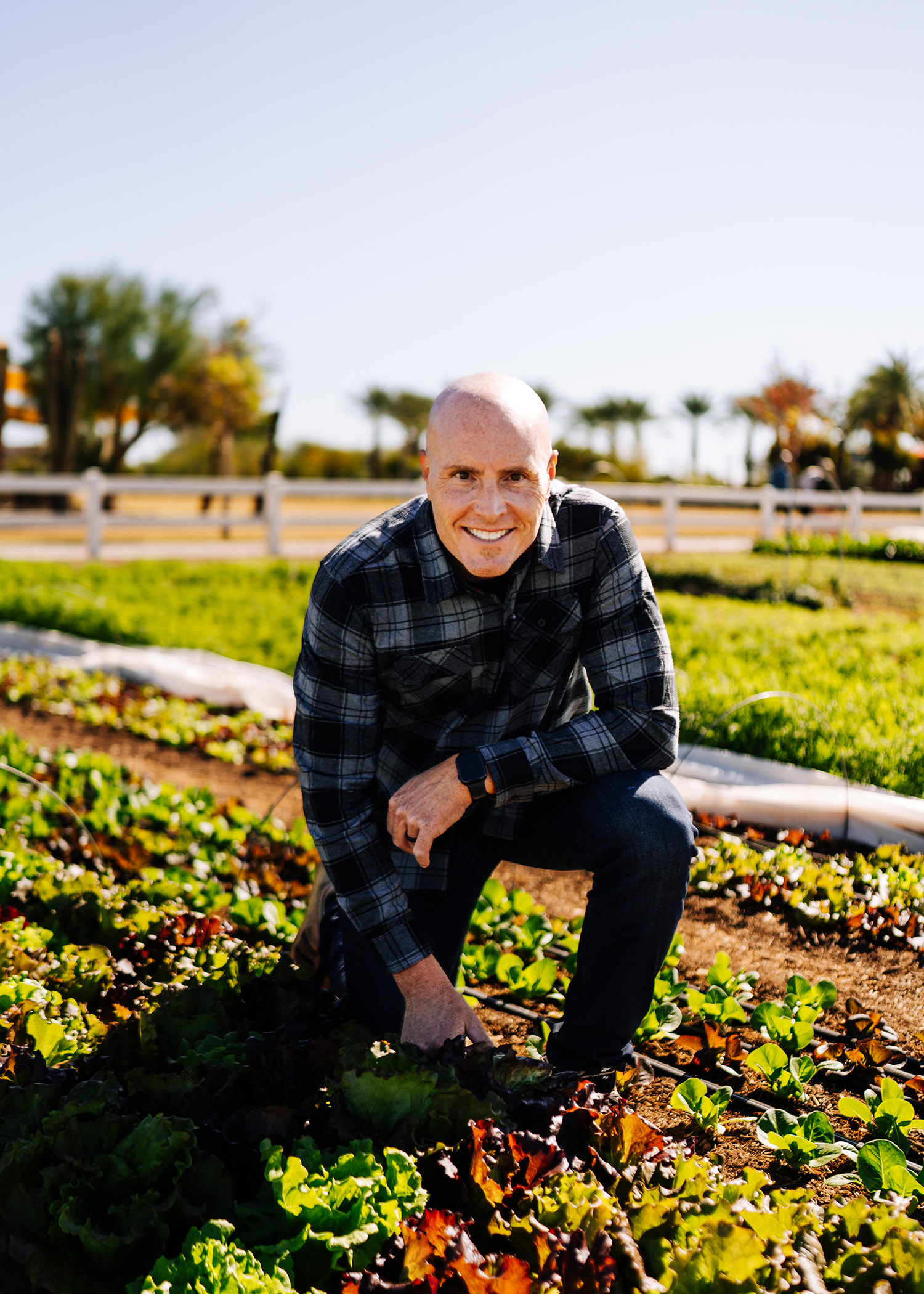 Branded Content Photography Video - Scottsdale SEO & Web Design | Bemo Design