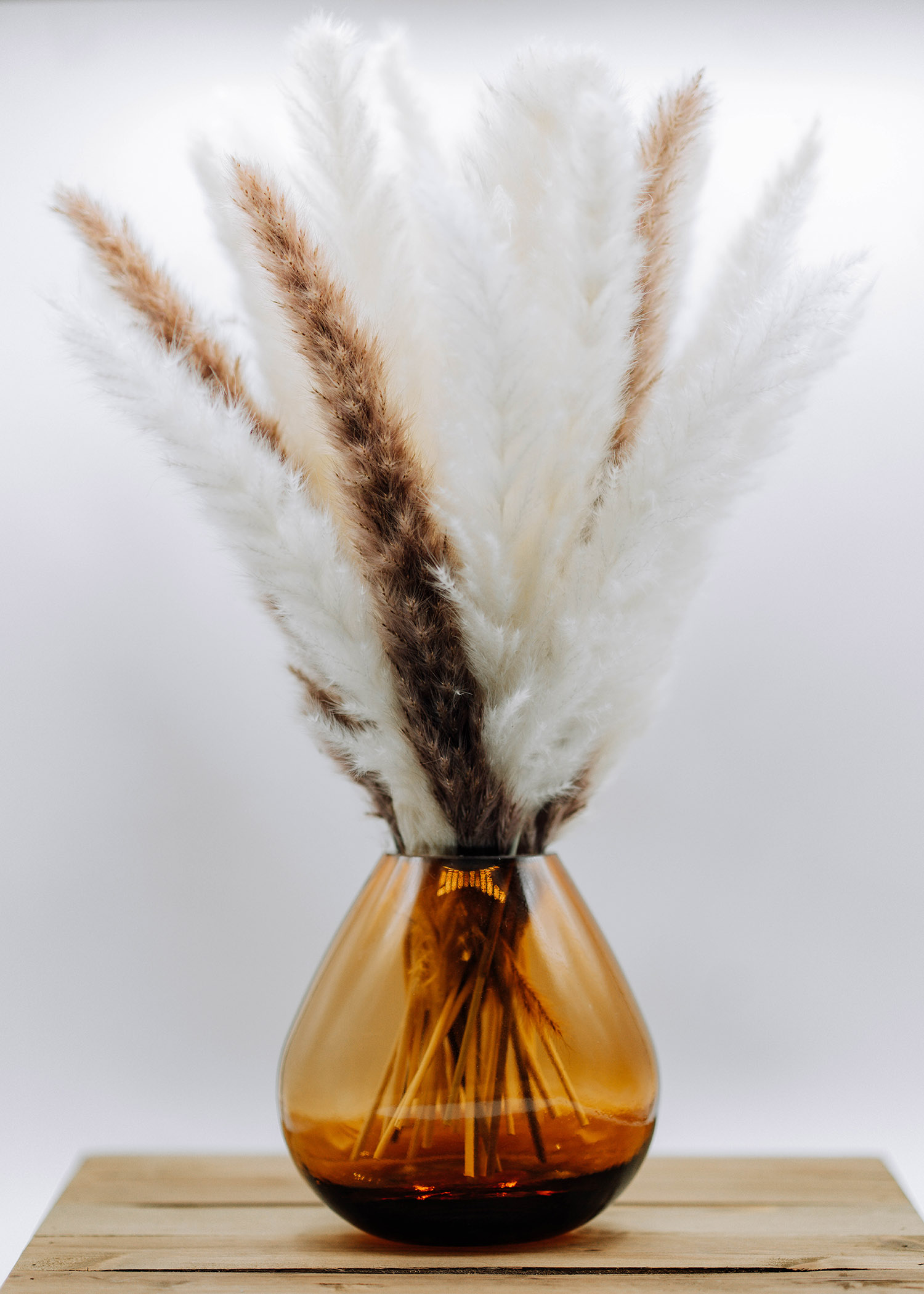 Branded Content Photography Video - Scottsdale SEO & Web Design | Bemo Design