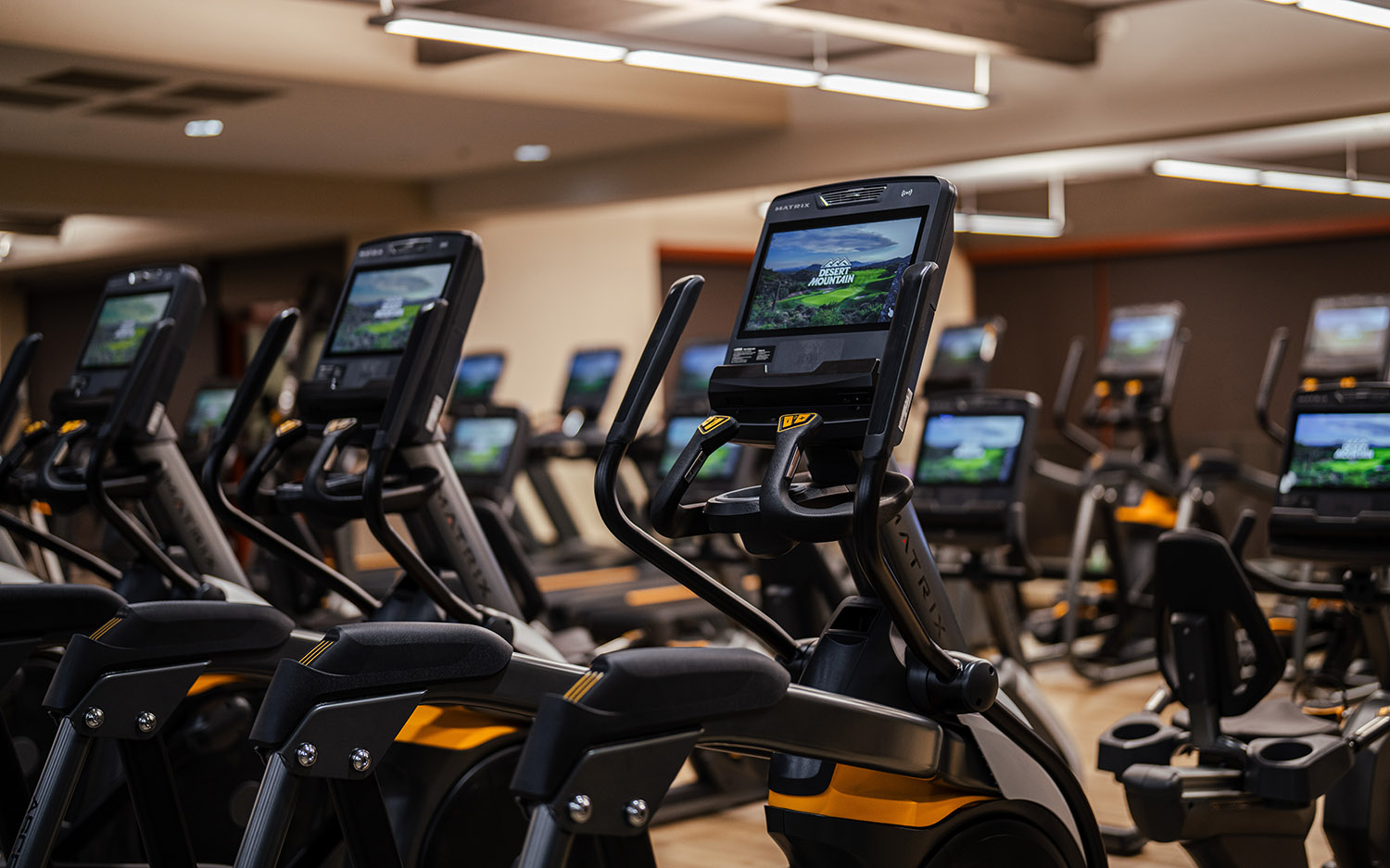 Branded Content Photography Video - Scottsdale SEO & Web Design | Bemo Design