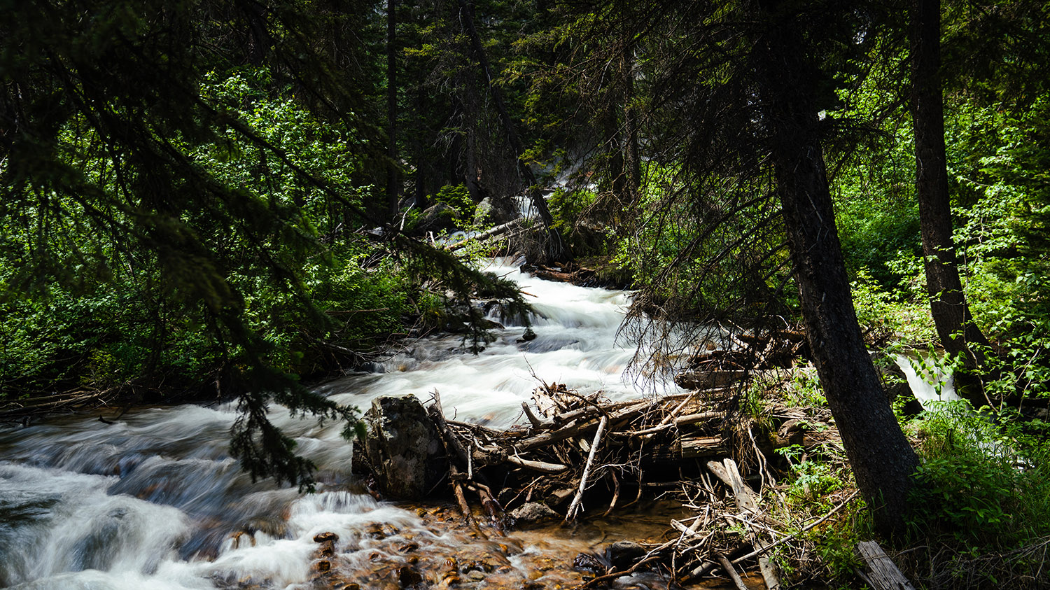 Fine Art Landscape Photography Prints13 - Scottsdale SEO & Web Design | Bemo Design