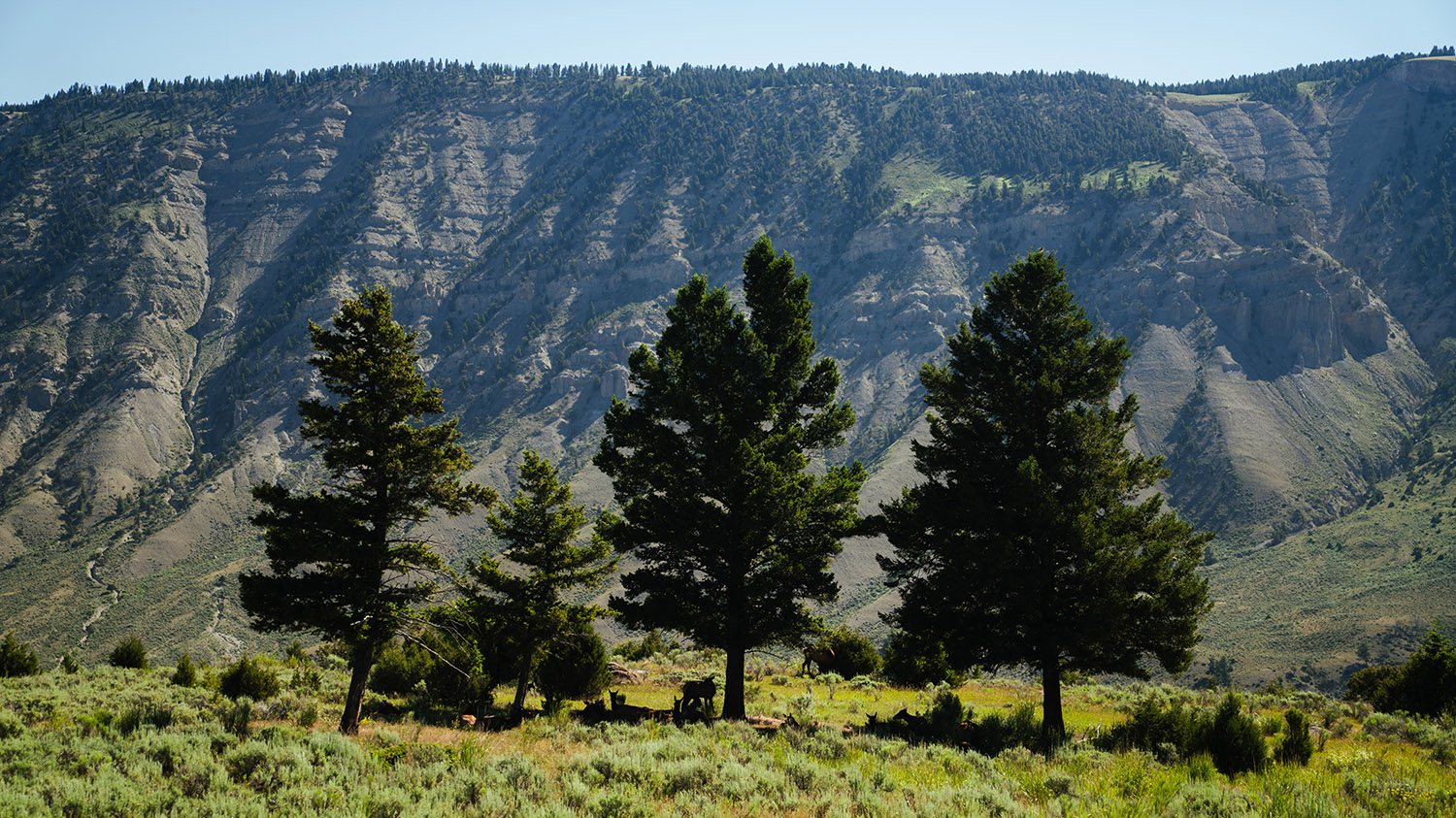 Fine Art Landscape Photography Prints17 - Scottsdale SEO & Web Design | Bemo Design