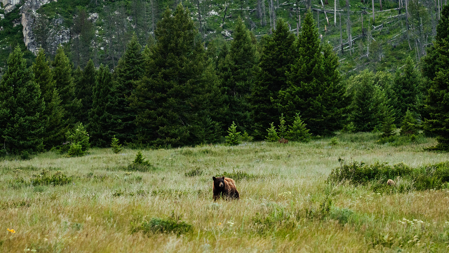 Fine Art Landscape Photography Prints21 - Scottsdale SEO & Web Design | Bemo Design