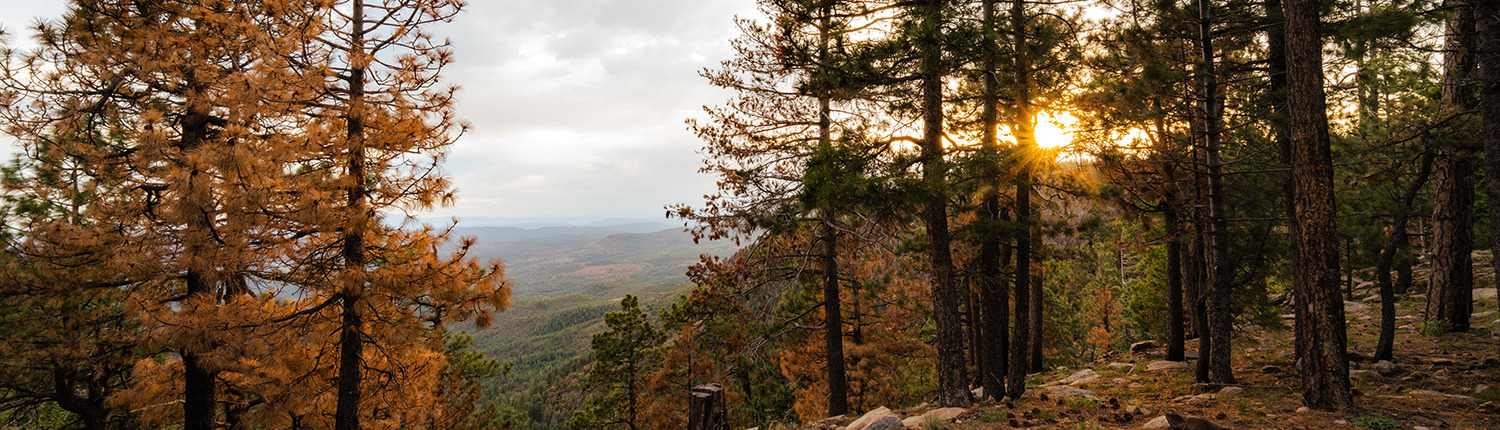 Fine Art Landscape Photography Prints23 - Scottsdale SEO & Web Design | Bemo Design