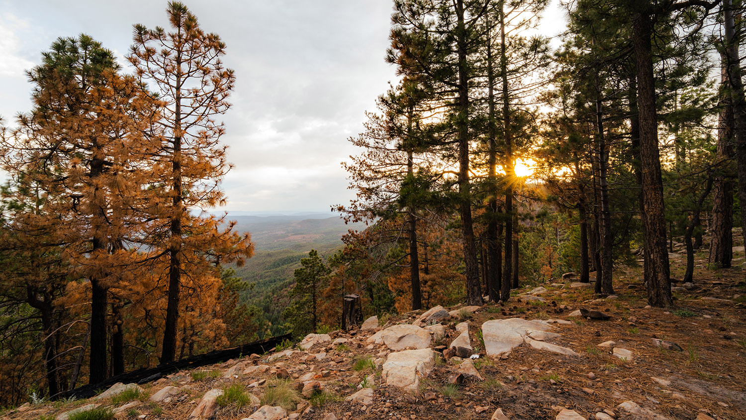 Fine Art Landscape Photography Prints23 - Scottsdale SEO & Web Design | Bemo Design