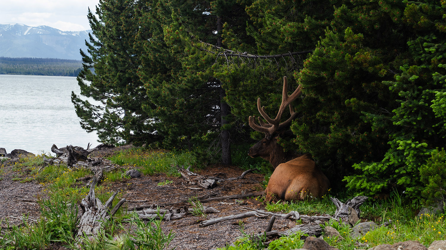 Fine Art Landscape Photography Prints27 - Scottsdale SEO & Web Design | Bemo Design