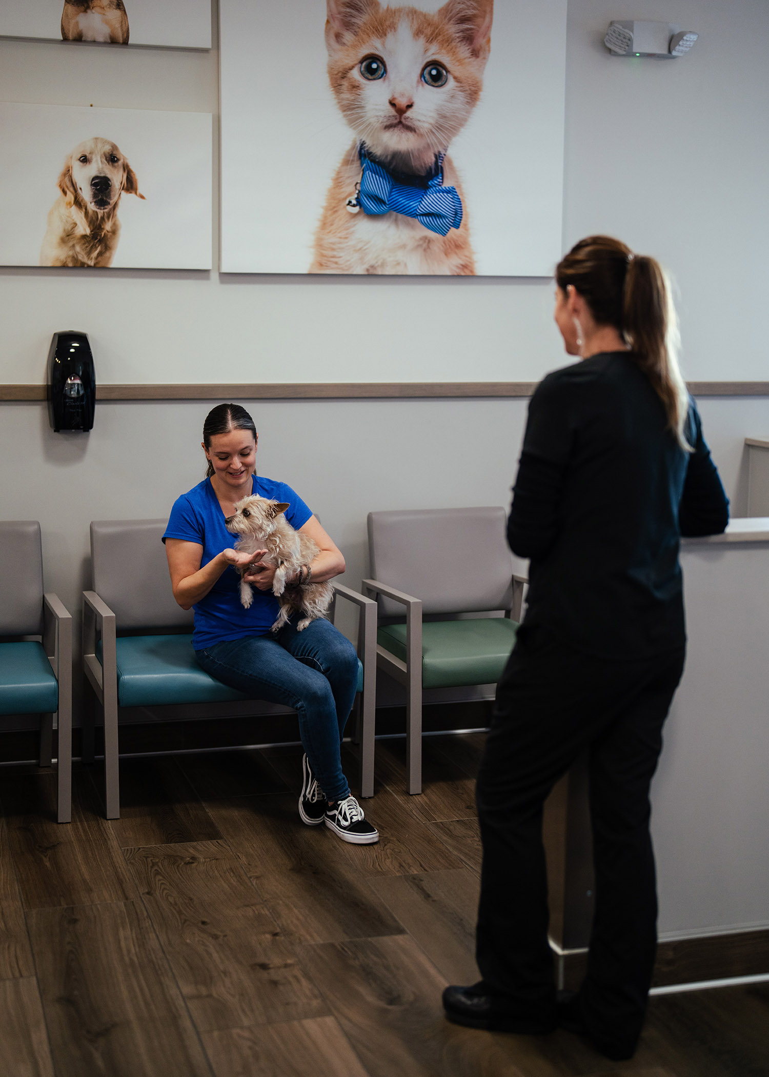 business photography video phoenix arizona13 - Scottsdale SEO & Web Design | Bemo Design