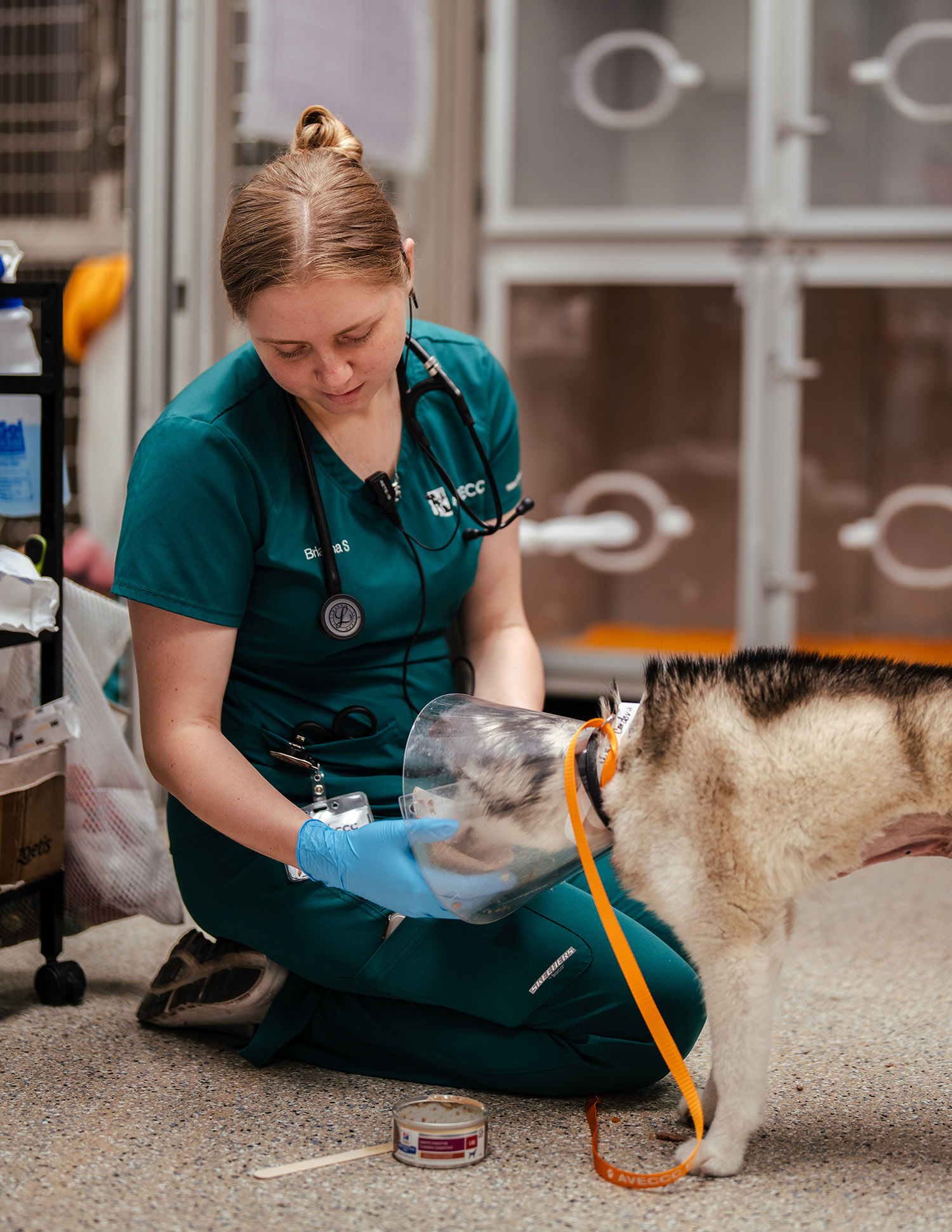 business photography video phoenix arizona6 - Scottsdale SEO & Web Design | Bemo Design