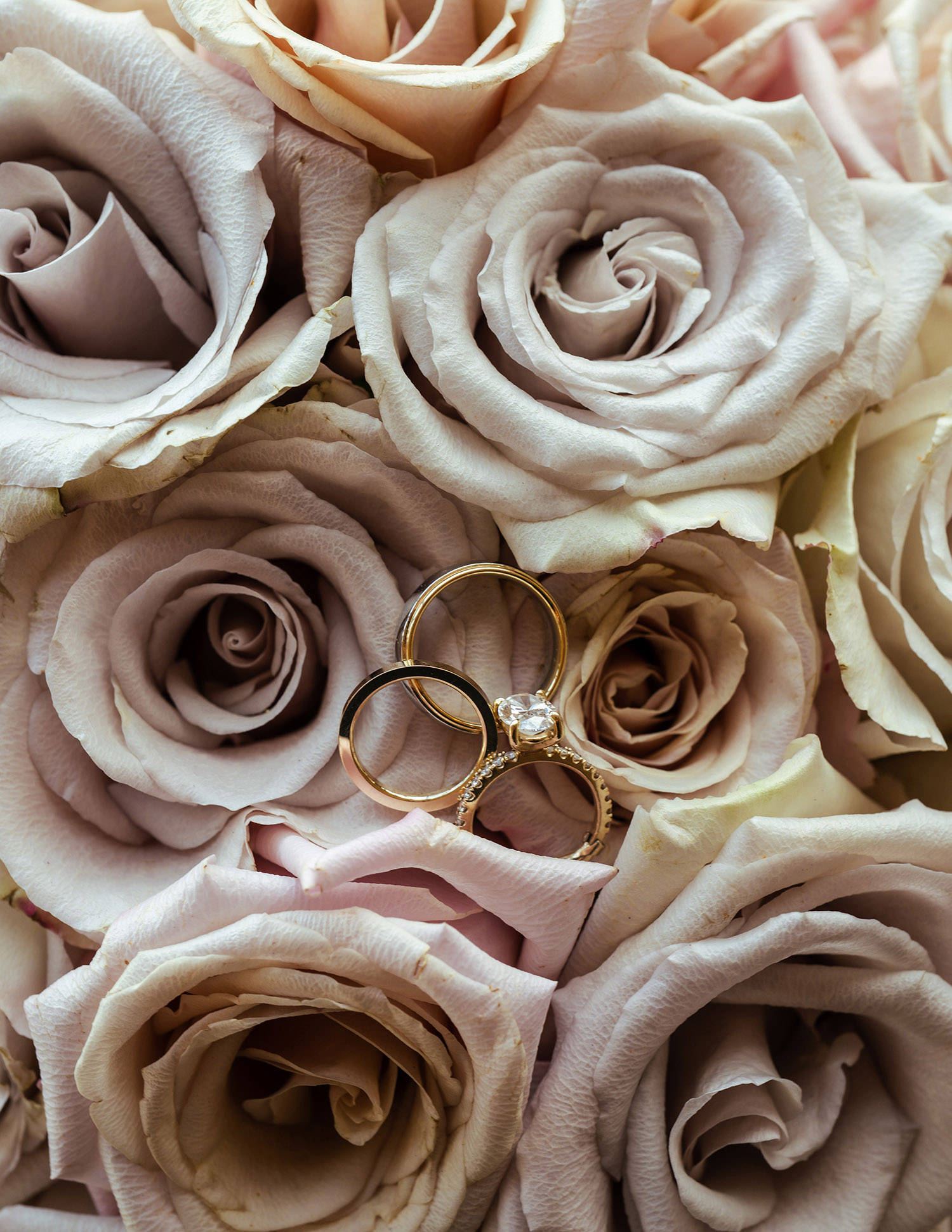 rustic countryside wedding photography22 - Scottsdale SEO & Web Design | Bemo Design