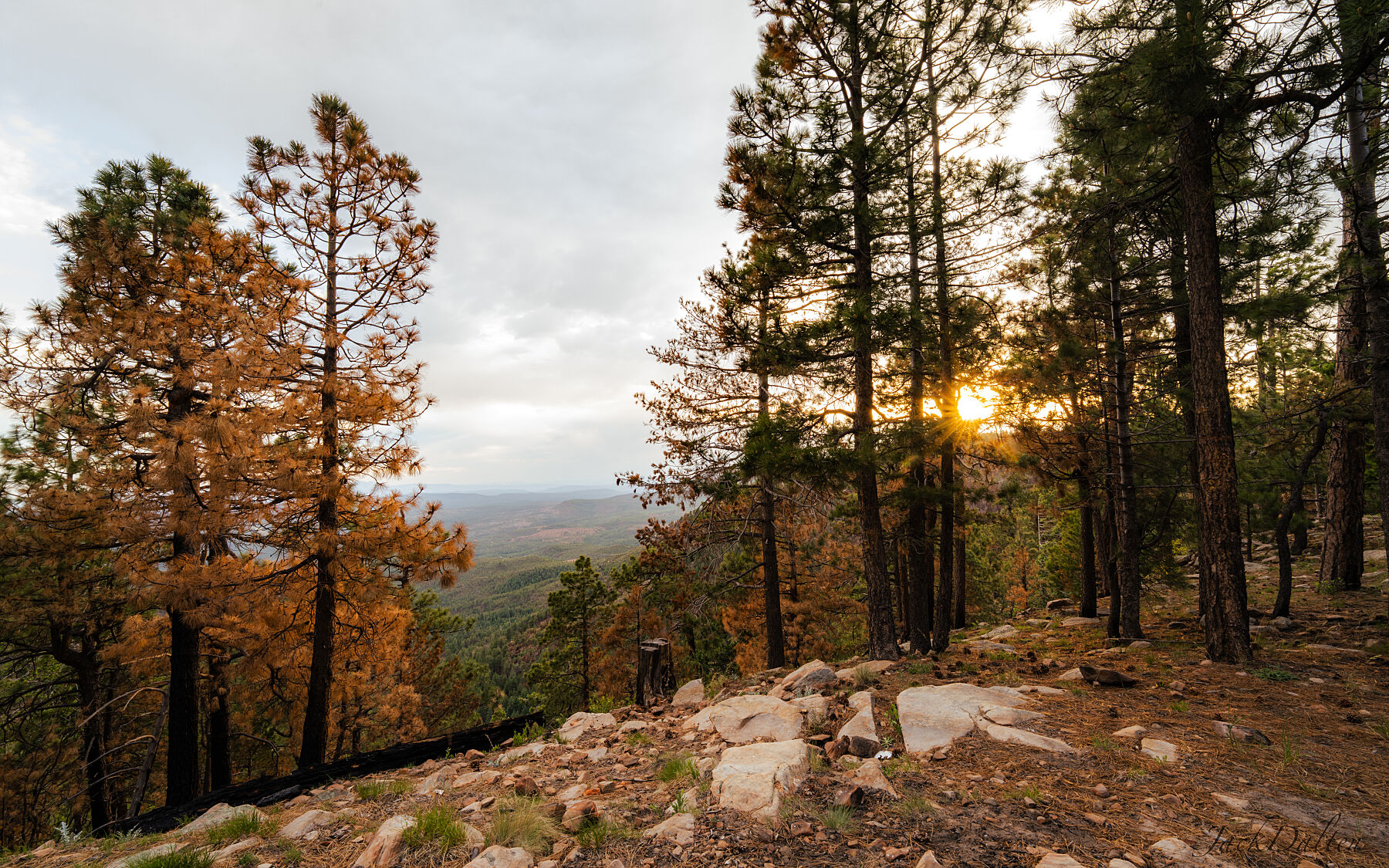 Mogollon Rim Sunset 1