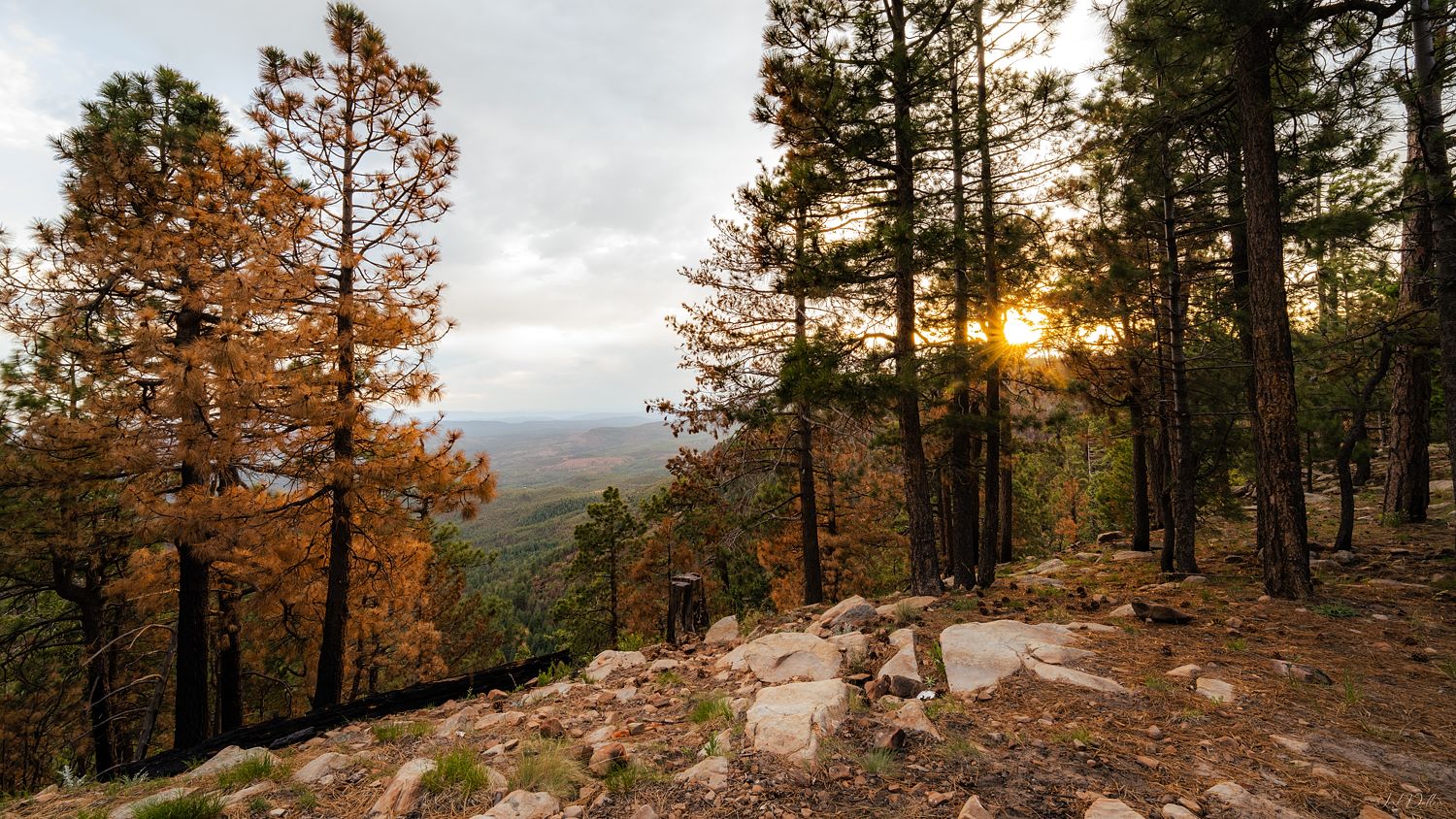 Mogollon Rim Arizona Fall Sunset