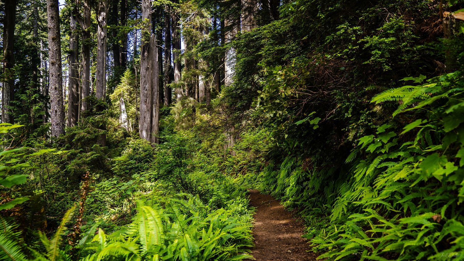 Oregon Coast Nature Trail