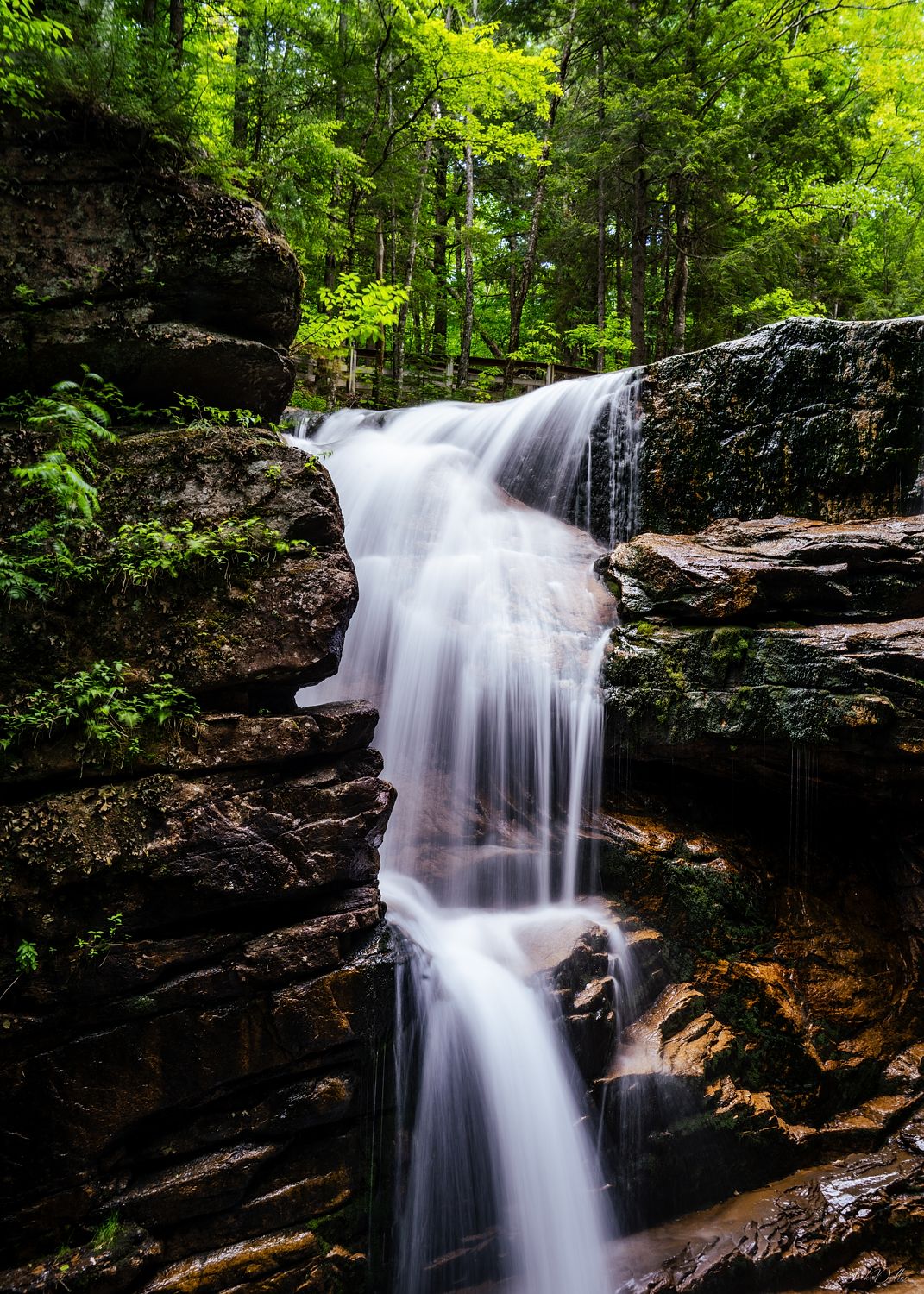 Waterfall Vertical Landscape