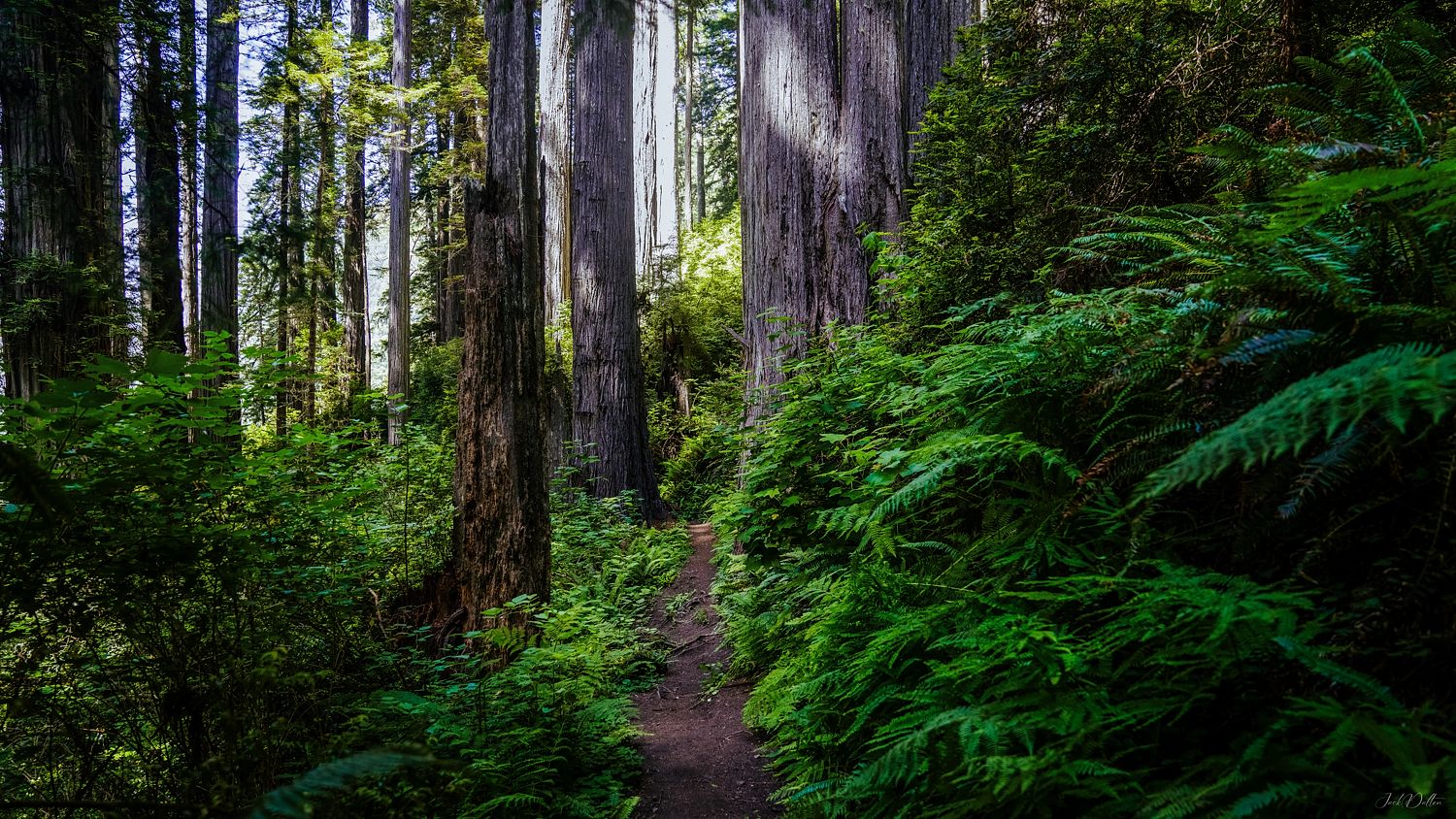 Oregon Trail Landscape