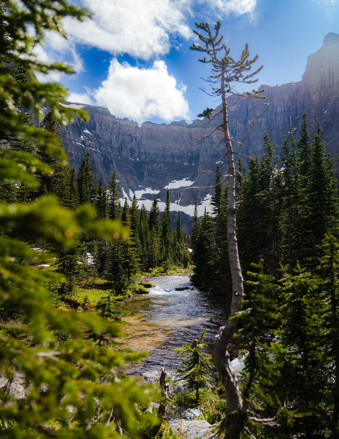 Iceberg Trail Montana Vertical Landscape